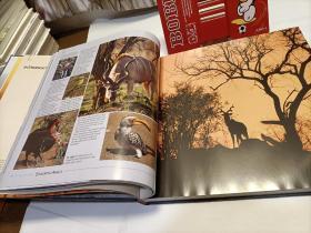 Evocative Africa