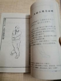 陈氏嫡传蔡李佛小梅花拳