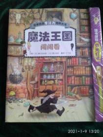 日本精选专注力培养大书——儿童思维专注力训练，全面提升观察力、专注力、认知力（套装三册）