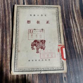 文学小丛书 正在想