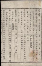 崇儒金氏宗谱影印本