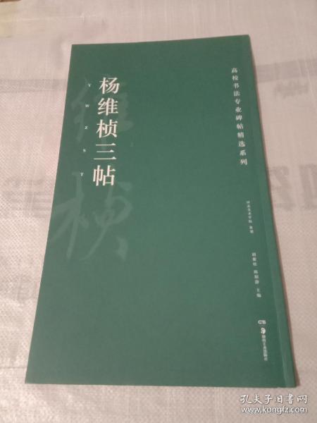 高校书法专业碑帖精选系列 杨维桢三帖