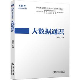 深港澳金融科技师一级考试专用教材大数据通识