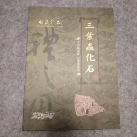 三叶虫化石摆件1号(中国地质博物馆古生物室，16开版，2008年)