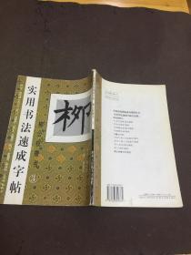 实用书法速成字帖（柳公权楷书3）——中国历代碑帖集句集联丛书