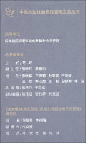 国家电网：双向驱动、示范引领型社会责任管理