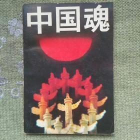 中国魂 1989 欧阳山尊，中共中央党校出版社 。 全新，未看过。