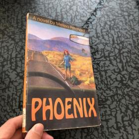 A novel by Melissa Pritchard PHOENIX