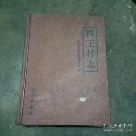 西王村志