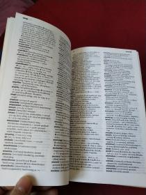 Engelsk-Svenska/Svensk-Engelska ordboken　英瑞 瑞英小词典