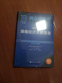 2020年湖南经济发展报告（全新）