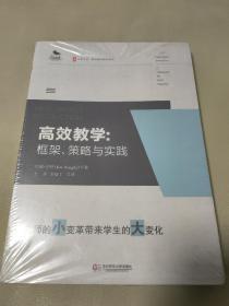 大夏书系·高效教学：框架、策略与实践