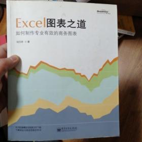 Excel图表之道：如何制作专业有效的商务图表