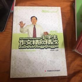 小学生作文精批精改(高年级)无盘