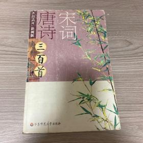 唐诗宋词三百首