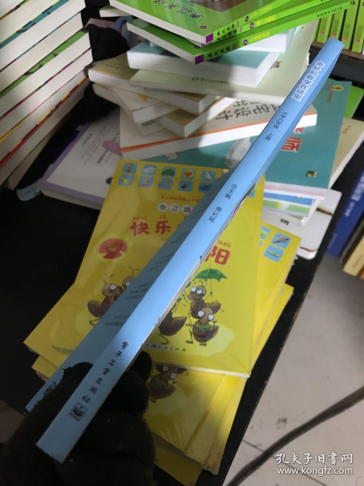 奇妙的数学在这里小学六年级上册