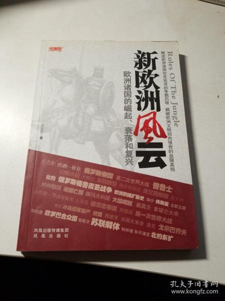 欧洲新战场全传：新欧洲风云（欧洲诸国的崛起、衰落和复兴）