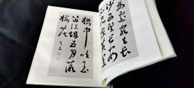 比田井天来（缎面8开一函1册，二玄社1966年）