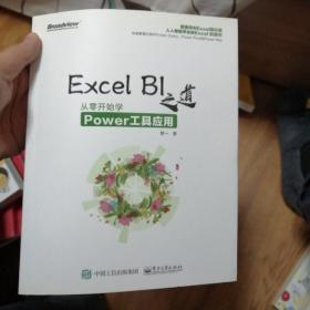 Excel BI 之道：从零开始学Power工具应用