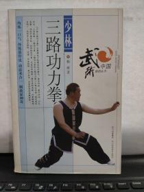 少林三路功力拳(正版图书内页全新无笔记)3-3中排