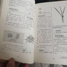 家庭实用中草药手册（厚本）