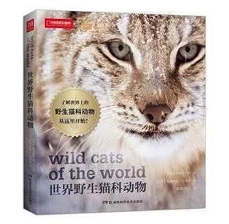 世界野生猫科动物