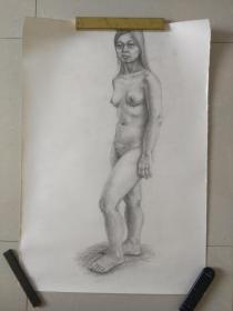 湖北美院学生舒焱安素描一件，包快递。