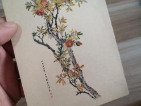 1956年画片---石榴  刘子久作