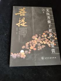 文玩菩提子把玩与鉴赏