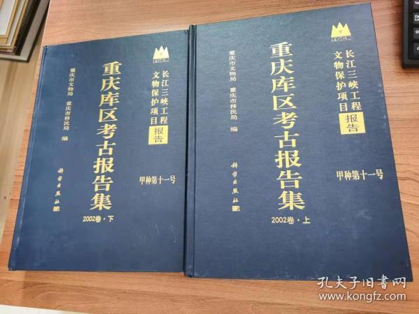 重庆库区考古报告集 2002卷 上、中、下册