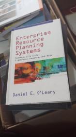 enterprise resource planning systems