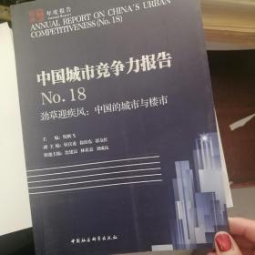 中国城市竞争力报告No.18——劲草迎疾风：中国的城市与楼市