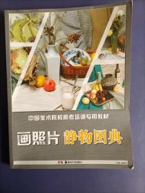 中国美术院校高考培训专用教材：画照片 静物图典