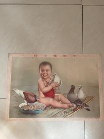 56年年画，孩子爱鸽子