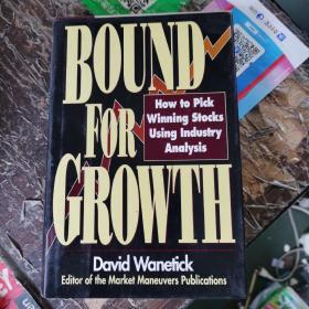 BOUND FOR GROWTH : how to pick winning stocks using industry analysis  成长之路:如何利用行业分析挑选赢股