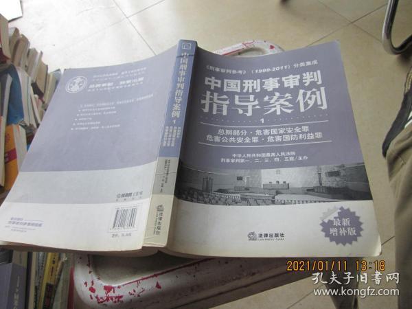 中国刑事审判指导案例（1）：总则部分·危害国家安全罪·危害公共安全罪·危害国防利益罪（最新增补版）