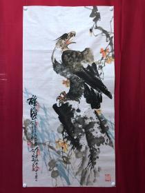 书画原作10354，著名画家【周仁辉、何俊德】花鸟画，秃鹫，雄风