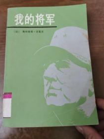 我的将军