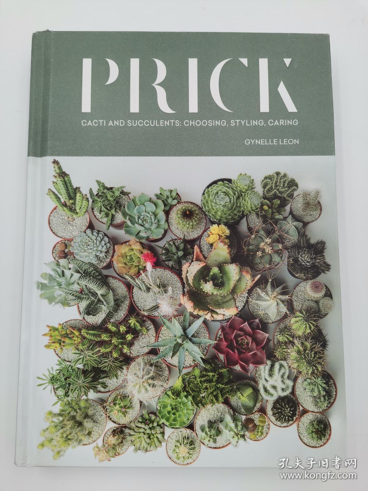 Prick: Cacti and Succulents: Choosing, Styling, Caring