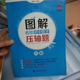 奇才教育·图解名校初中数学压轴题：代数