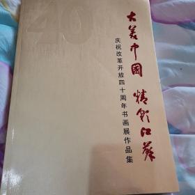 大美中国精彩江苏，庆祝改革开放四十周年书画展作品集
