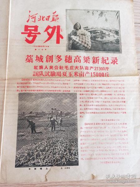 1958年9月24日 河北日报 号外 藁城放卫星 藁城创多穗高粱新纪录  亩产21300斤 玉米亩产15000斤 谷子亩产22412斤