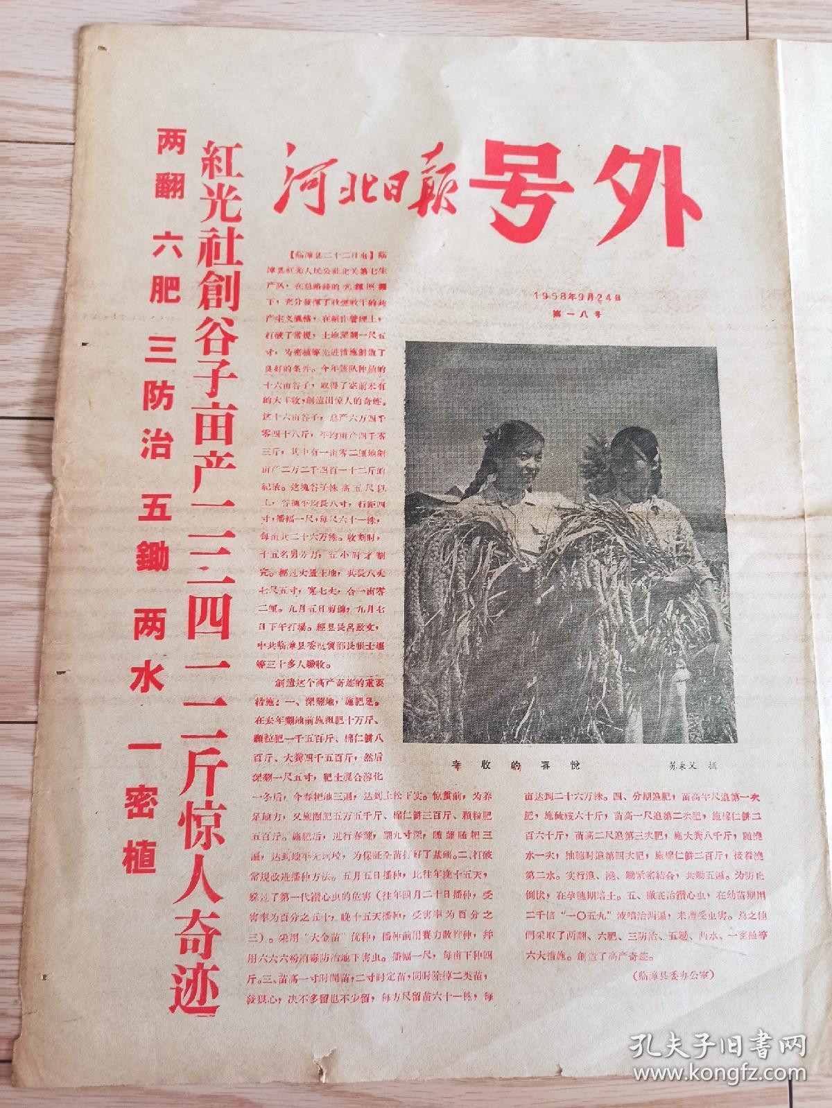 1958年9月24日 河北日报 号外 藁城放卫星 藁城创多穗高粱新纪录  亩产21300斤 玉米亩产15000斤 谷子亩产22412斤