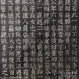明 散官陈公暨配李氏志石拓片