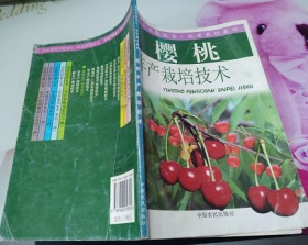 櫻桃豐產(chǎn)栽培技術(shù)