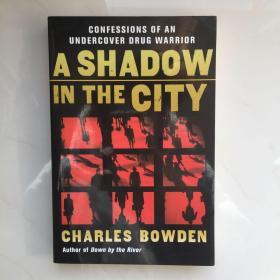 A Shadow in the City: Confessions of an Undercover Drug Warrior