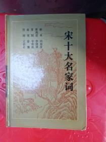 宋大名家词