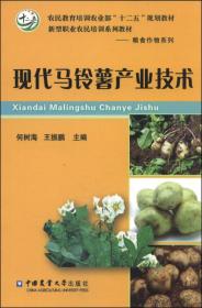 马铃薯种植加工技术书籍 现代马铃薯产业技术/农民教育培训农业部“十二五”规划教材·新型职业农民培训系列教材·粮食作物系列