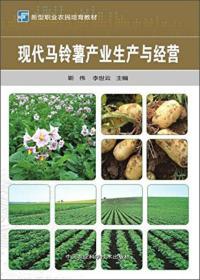 马铃薯种植加工技术书籍 现代马铃薯产业生产与经营