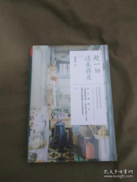 趁一切还来得及（韩梅梅 著）：（全新塑封未开封）平装大32开（中国华侨出版社）